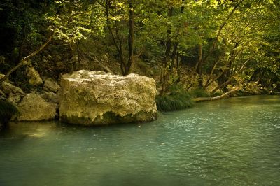 Klikni za sliku u punoj veličini