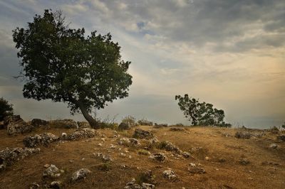 براي نمايش بزرگترين اندازه كليك كنيد