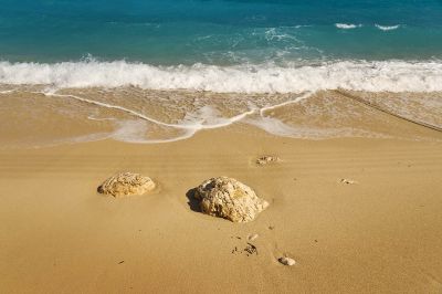 Κάντε κλικ για να δείτε την εικόνα σε πλήρες μέγεθος