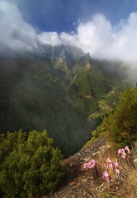 براي نمايش بزرگترين اندازه كليك كنيد