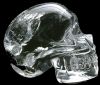 crystal_skull2.jpg