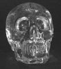 crystal_skull_gs-front.jpg