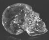 crystal_skull_gs-side1.jpg