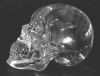 crystal_skull_gs-side2.jpg