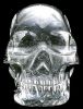 crystal_skull_skull2a.jpg